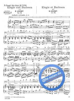 Die hohe Schule Band 5 von Franz Simandl 