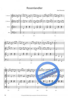 Saitenblicke Heft 4 (Hans Vilsmeier) 