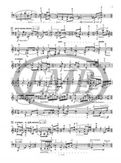 Introduzione e Scherzo 