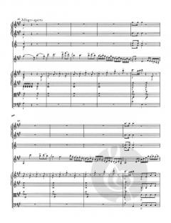 Werke für Violine und Orchester von Wolfgang Amadeus Mozart im Alle Noten Shop kaufen