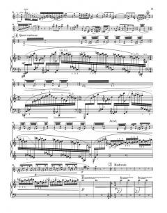 Tzigane von Maurice Ravel für Violine und Klavier im Alle Noten Shop kaufen - HN587