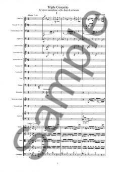 Triple Concerto von Anders Koppel 
