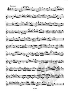 Zwei Suiten für Flöte von Johann Sebastian Bach im Alle Noten Shop kaufen