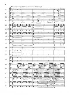 Vltava (Die Moldau) von Bedrich Smetana 