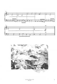 Reflejos von Ursula Goldmann 