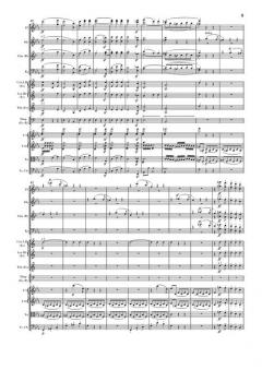 Symphonie Nr. 3 Es-dur op. 55 von Ludwig van Beethoven 