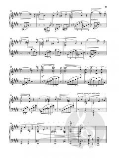 Am Klavier - Liszt von Franz Liszt im Alle Noten Shop kaufen
