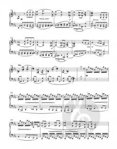 Sonate für Klavier c-Moll D 958 von Franz Schubert im Alle Noten Shop kaufen