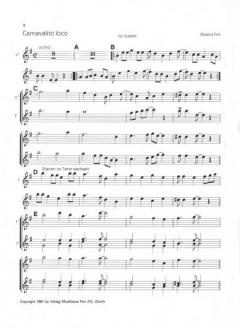 Melodien aus Südamerika (Roland Fink) 