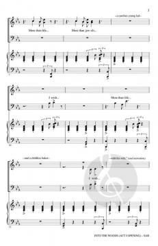 Into The Woods (Download) 