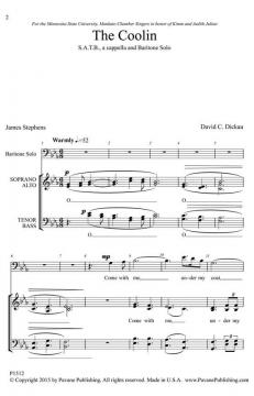 The Coolin von David C. Dickau (Download) 