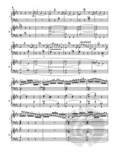 Klavierkonzert c-moll KV 491 von Wolfgang Amadeus Mozart im Alle Noten Shop kaufen
