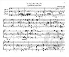 Sämtliche Orgelwerke 8 von Johann Sebastian Bach im Alle Noten Shop kaufen
