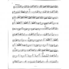 Sonate a-Moll op.7/1 (Jean Baptiste Loeillet 'de Gant) 