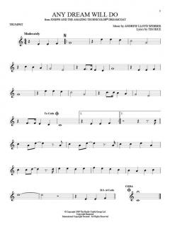 101 Broadway Songs for Trumpet im Alle Noten Shop kaufen