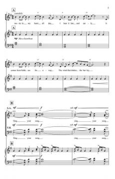 Sing Your Song (Matthew Emery) 
