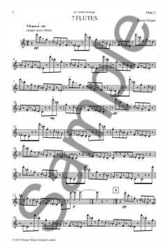 7 Flutes von Kevin Volans 