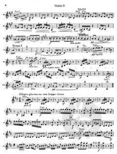 Violinkonzert D-Dur op. 77 von Johannes Brahms 