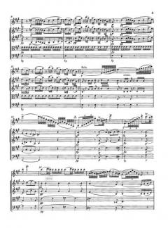 Rondo für Violine und Streicher in A-Dur D 438 von Franz Schubert 