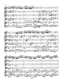 Konzert in e-moll BWV 1059R von Johann Sebastian Bach für Flöte und Streichorchester im Alle Noten Shop kaufen (Partitur)