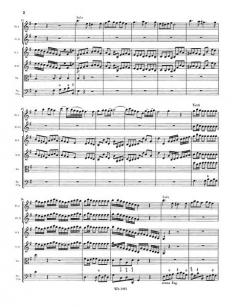 Concerto a piu instrumenti in e-moll op. 5 Nr. 3 von Evaristo Felice dall' Abaco 