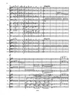 Die Fledermaus op. 367 von Johann Strauss (Vater) 