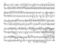 Symphonien Nr. 1 und 2 von Johannes Brahms 