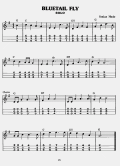 Dulcimer Song Book von Bud Ford 