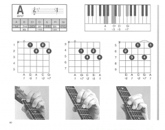 The Musician's Ultimate Picture Chord Encyclopedia von Denis Atkinson 