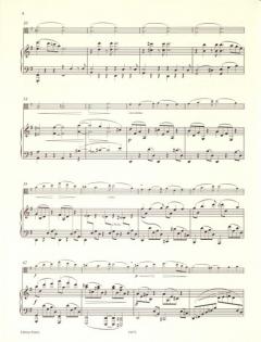 Sonate G-Dur op. 78 von Johannes Brahms 