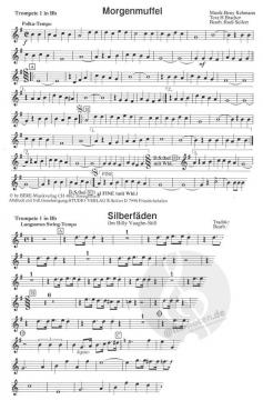 Lustige Musikanten 15 