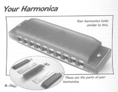 Voggy's Harmonica Book (ENGLISCH) von Martina Holtz im Alle Noten Shop kaufen