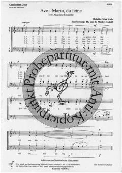 Ave - Maria, du feine (Max Kolb) 
