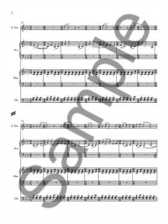 Chromattic von Michael Nyman 