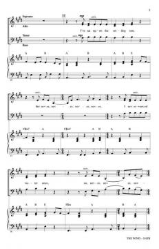 The Wind von Cat Stevens 