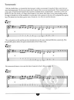 School Of Mandolin: Blues von Joe Carr im Alle Noten Shop kaufen