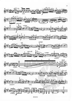 Leichtes Konzert op. 62 von Gustav Hollaender für Violine und Klavier im Alle Noten Shop kaufen