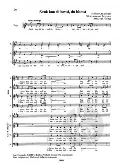 Sank Kun Dit Hoved, Du Blomst (Carl Nielsen) 