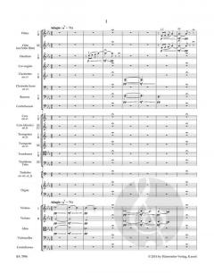 Symphonie Nr. 3 c-Moll op. 78 von Camille Saint-Saëns 