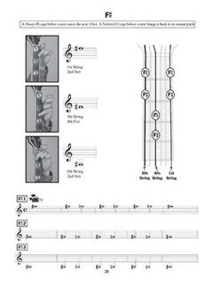 First Lessons Beginning Guitar - Learning Notes/Playing Solos von William Bay 