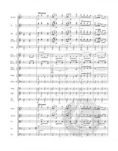 Slawische Rhapsodie Nr. 1 D-Dur op. 45 von Antonín Dvorák 
