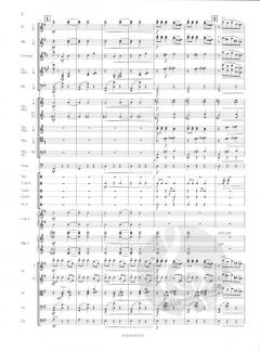 Valses nobles et sentimentales von Maurice Ravel 