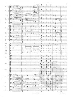Valses nobles et sentimentales von Maurice Ravel 