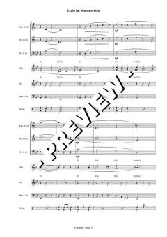 Liebe im Sonnenschein - DOWNLOAD (Michael Lommer) 