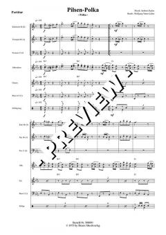 Pilsen-Polka - DOWNLOAD (Ambros Seelos) 