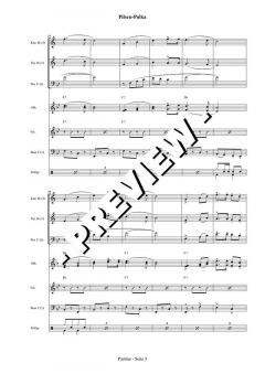 Pilsen-Polka - DOWNLOAD (Ambros Seelos) 