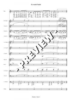 Es wurde Nacht (Bernhard Ullrich) 