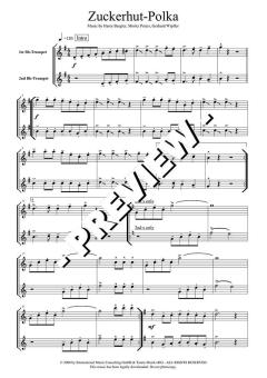 Zuckerhut-Polka von Moritz Peters 