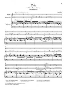 Klaviertrio d-moll op. 120 (Gabriel Fauré) 