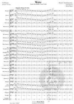 Waltz von Peter Iljitsch Tschaikowsky (Download) 